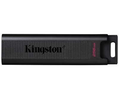 PEN DRIVE 256GB KINGSTON DTMAX USB-C