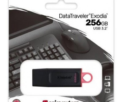 PEN DRIVE 256GB KINGSTON DTX EXODIA