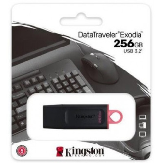 PEN DRIVE 256GB KINGSTON DTX EXODIA